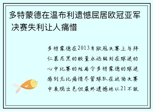 多特蒙德在温布利遗憾屈居欧冠亚军 决赛失利让人痛惜 多特蒙德在温布利遗憾屈居欧冠亚军 决赛失利让人痛惜